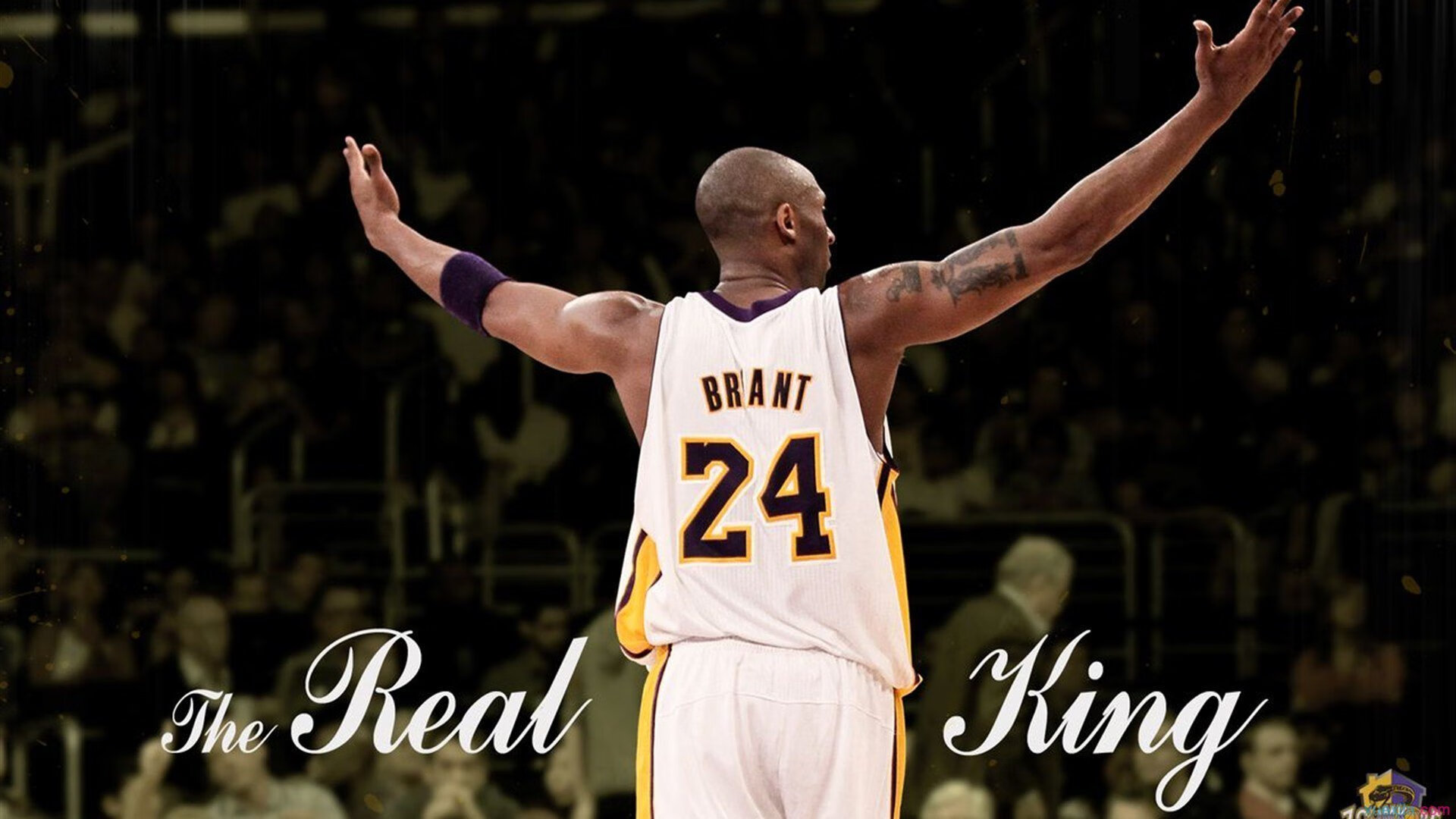 各种主题电竞展览轮番上阵，粉丝热情高涨，电竞展览策划书